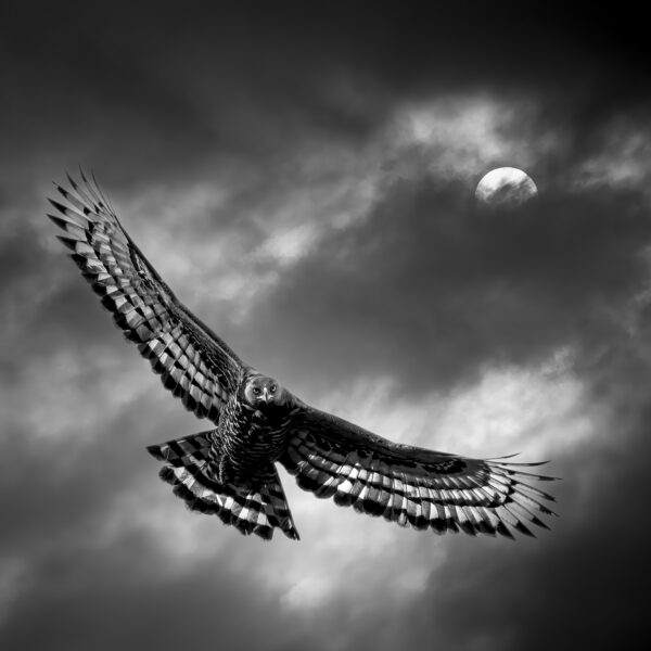 Nemesis