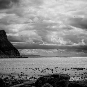 The Shore