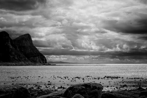The Shore